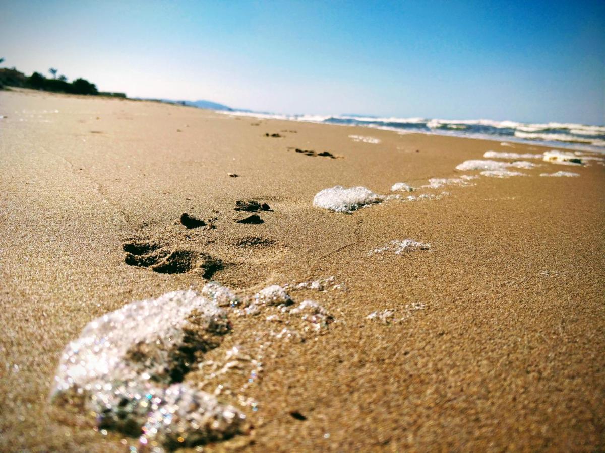 Hello Piles Beach Javier Esterno foto