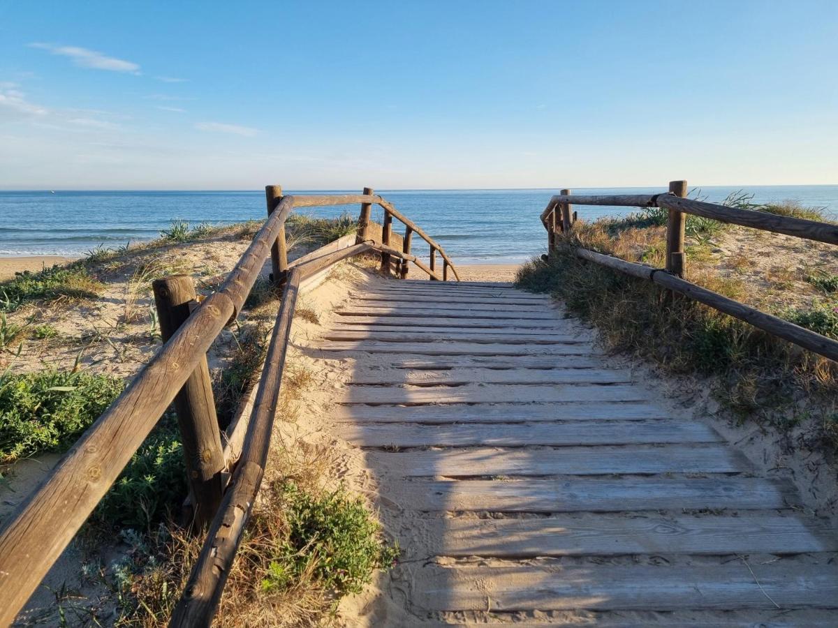 Hello Piles Beach Javier Esterno foto