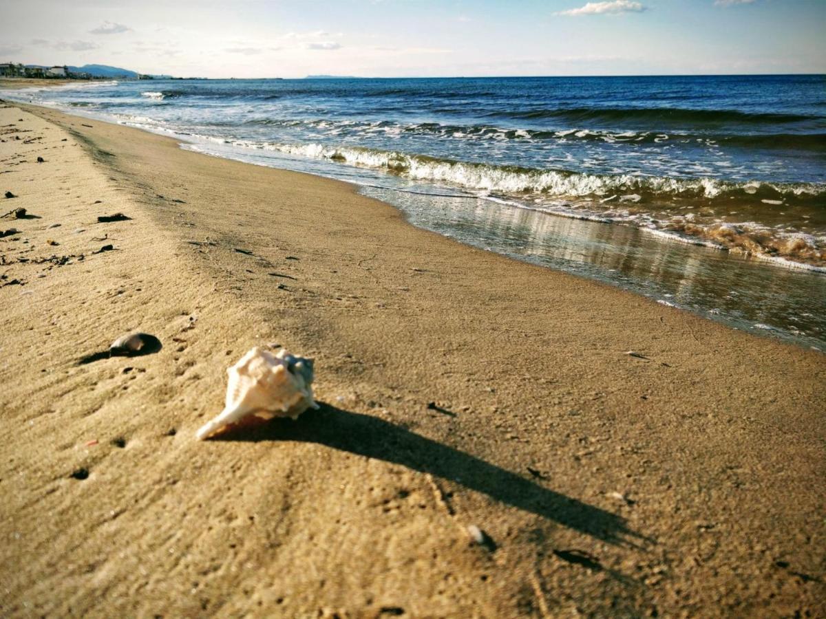 Hello Piles Beach Javier Esterno foto